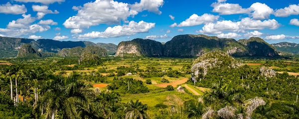 vinales